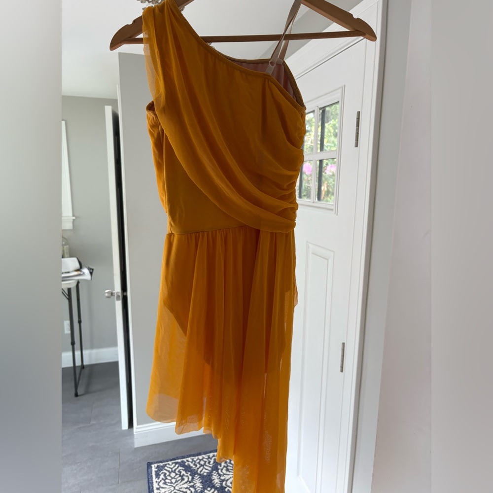 “Clarity” Weissman Dance Costume - image 8